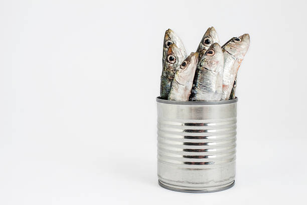 istock preserved or fresh food 178793786
