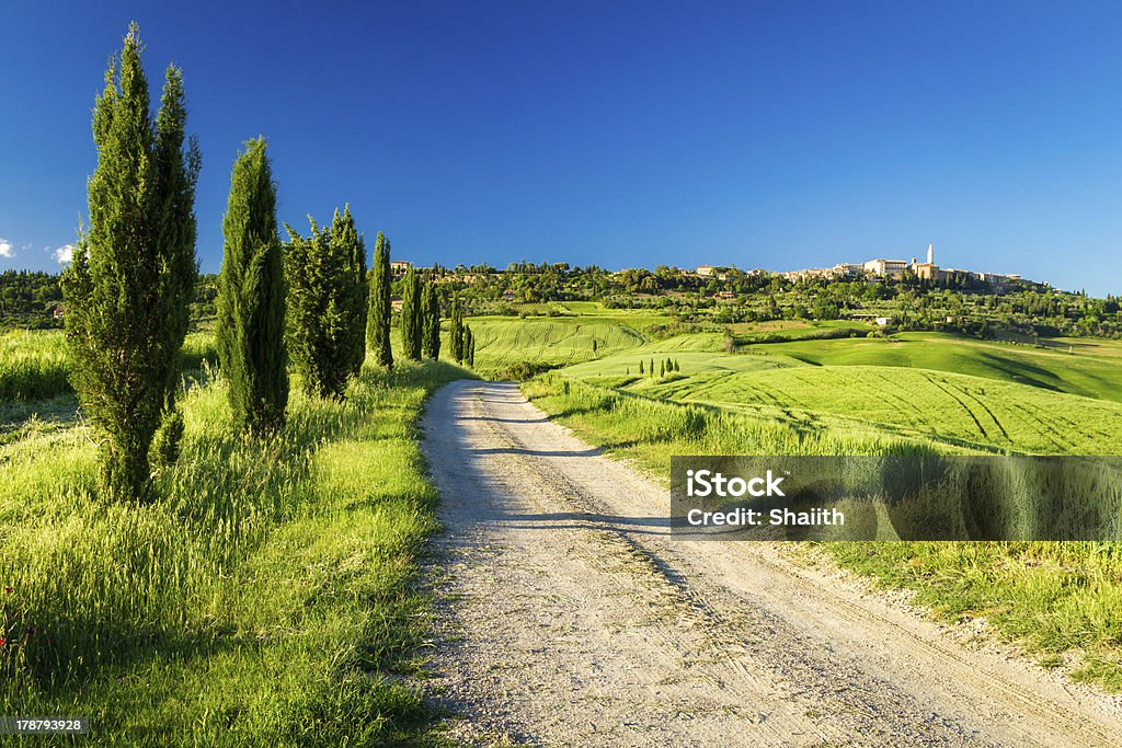 Wiejska droga prowadzi do Pienza, Toskania - Zbiór zdjęć royalty-free (Bez ludzi)