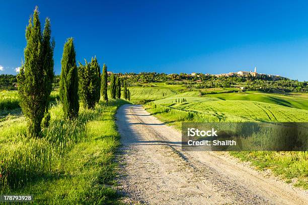 Foto de Country Road Que Leva Ao Pienza Toscana e mais fotos de stock de Agricultura - Agricultura, Beleza natural - Natureza, Cabana - Casa