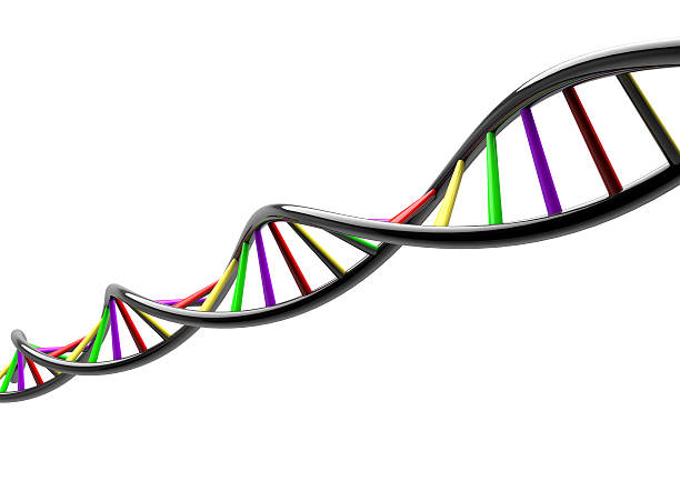 istock DNA STRAND genetic genome on white 178794893