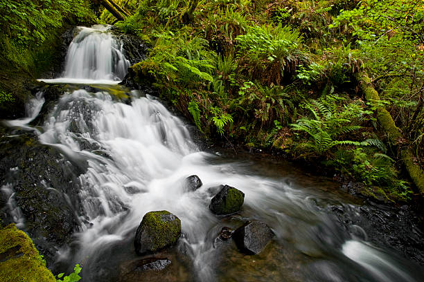 istock Base of Shepperd's Dell Falls 178794931