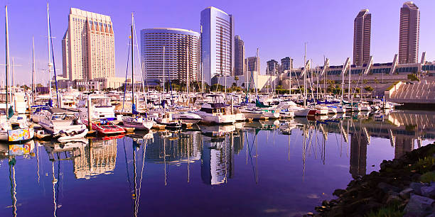 istock San Diego  City Skyline 178796668
