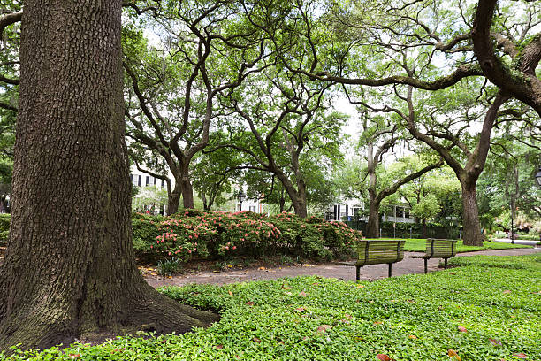 istock Downtown Savannah Park on the Town Square 178797819