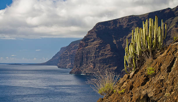 istock Los Gigantes, Tenerife. 178798443