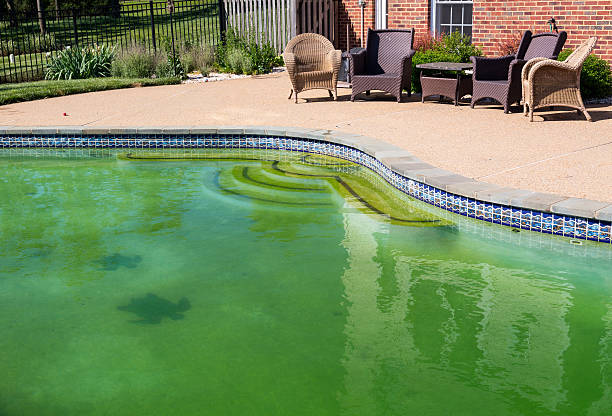 istock Filthy backyard swimming pool and patio 178798450