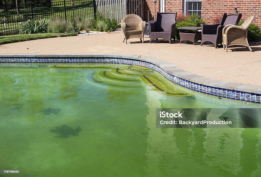 Filthy backyard swimming pool and patio Back yard swimming pool behind modern single family home at pool opening with green stagnant algae filled water before cleaning Swimming Pool Stock Photo