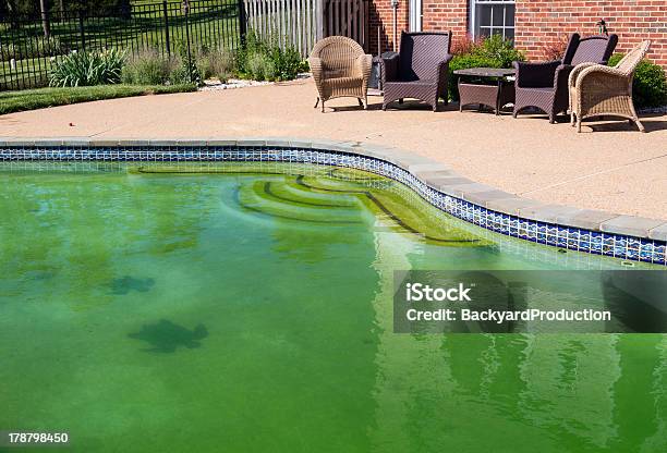 Filthy Backyard Swimming Pool And Patio Stock Photo - Download Image Now - Swimming Pool, Algae, Architecture