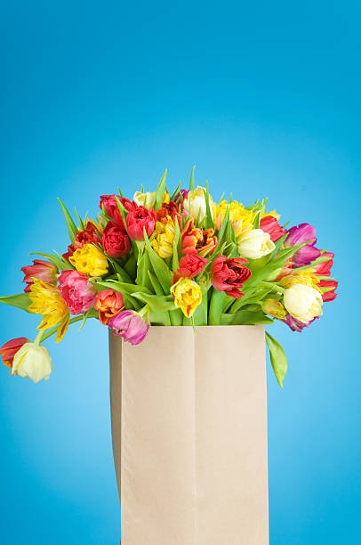istock Tulips in the paper bag 178798553