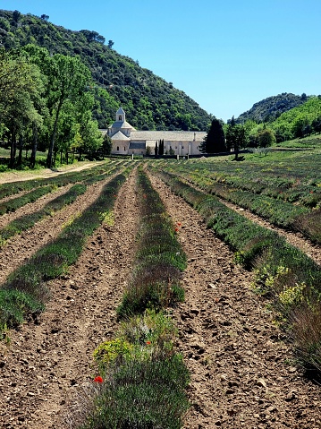 The Abbaye Notre-Dame de Senanque in Provence with mountains in the background