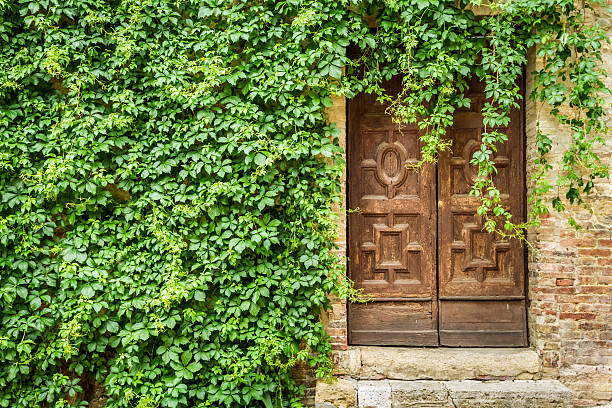 istock Ancient building with wooden door and ivy 178799343