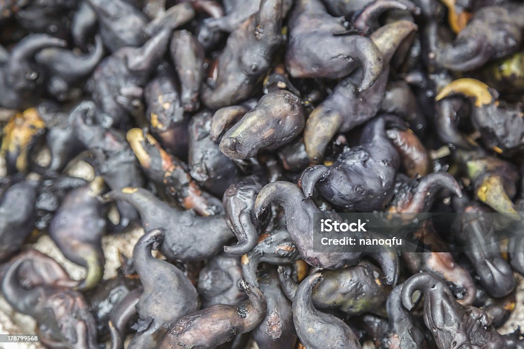 Água do peito frutos de casca rija - Royalty-free Castanha Foto de stock