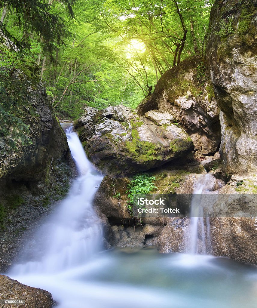 Spring rill flow Spring rill flow. Nature composition. Beauty In Nature Stock Photo