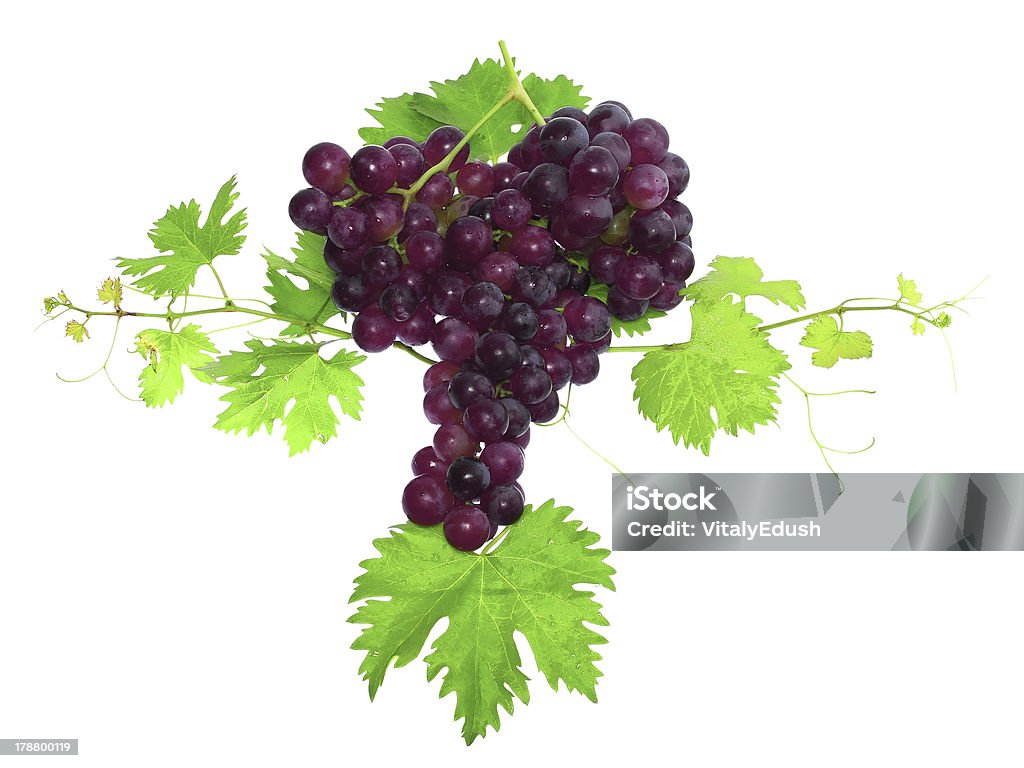 Ramo di uve nere con foglie verdi. Isolato - Foto stock royalty-free di Bianco