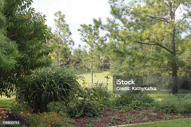 Foto de Jardim Botânico De Paisagem e mais fotos de stock de Botânica - Assunto - Botânica - Assunto, Estados da Costa do Golfo, Exterior