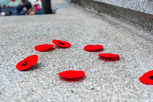 Toronto, Ontario, Canada- November 11th, 2023:Poppies on the cenotaph at Toronto’s Old City Hall.