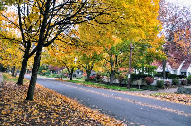 istock Autumn trees in the burbs 1788013091