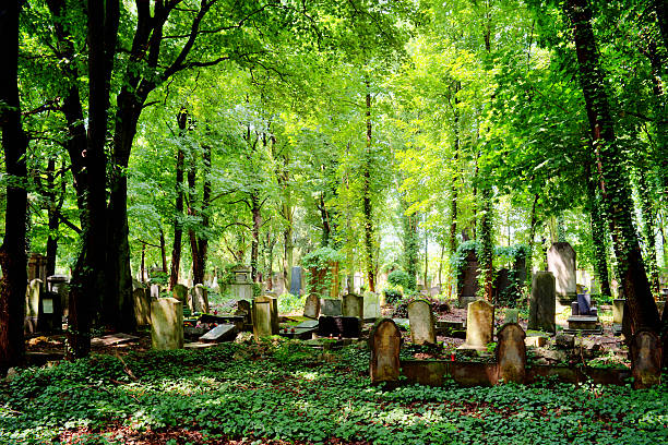istock Jewish Cemetery in Wroclaw, Poland 178801532