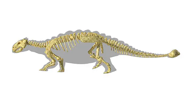 Photo of Ankylosaurus dinosaurus silhouette, with full skeleton superimposed. Side view.