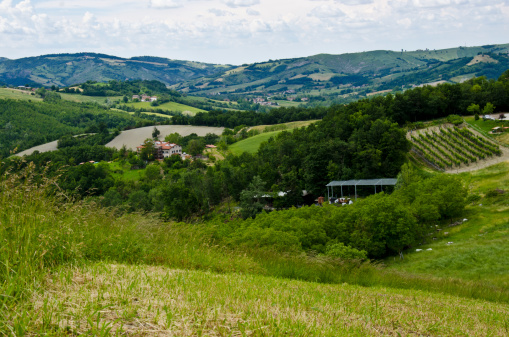Castellarano's green hills - Appennini Modenesi - Region of Emilia-Romagna - Northern Italy - Europe - Travel - Eco Tourism