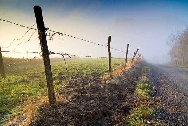 Barbed wire delimiting the fields, Cantabria Wire fence delimiting the fields, Cantabria alambrada stock pictures, royalty-free photos & images