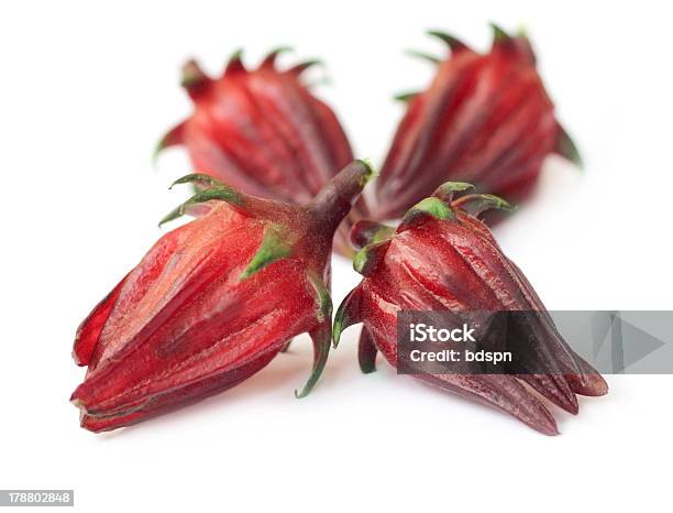 Hibiscus Sabdariffa Or Roselle Fruits Stock Photo - Download Image Now - Agriculture, Antioxidant, Farm