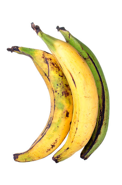 6,000+ Green Plantain Stock Photos, Pictures & Royalty-Free Images - iStock