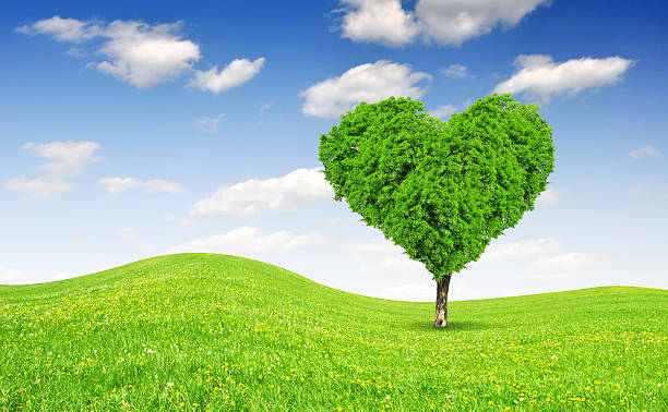 istock tree in the shape of heart 178803764