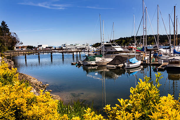 istock Bainbridge Island Harbor Puget Sound Washington State 178803800