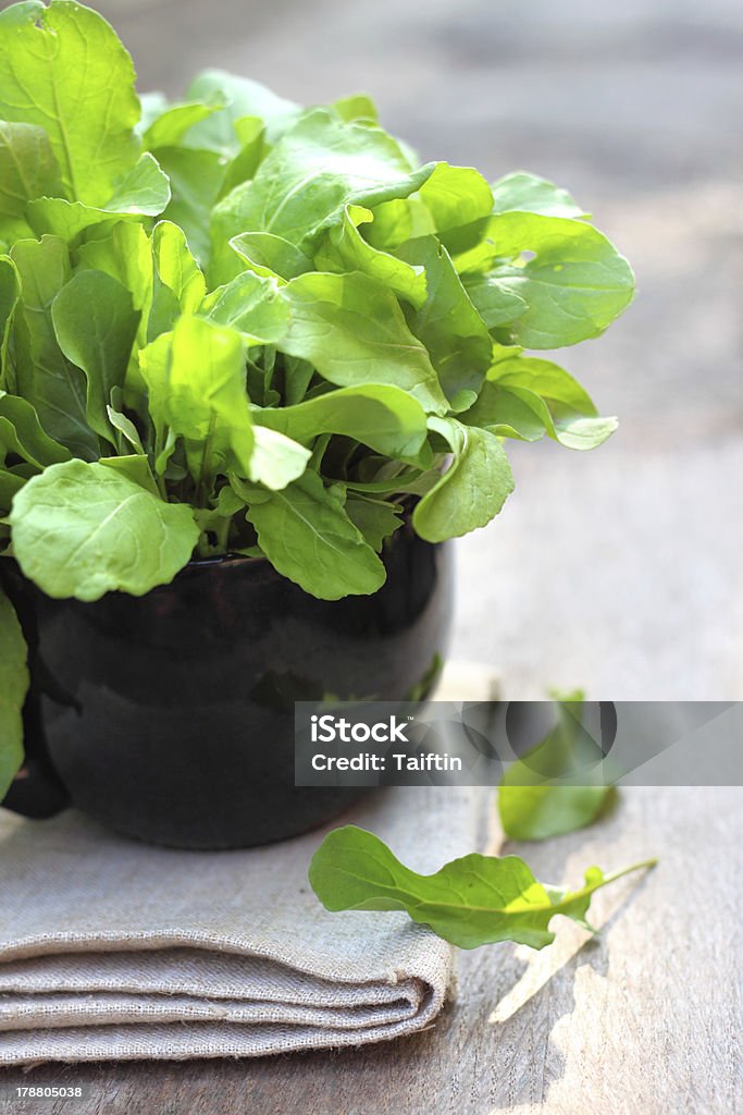 Fresh rukkola Fresh rukkola in black cup Arugula Stock Photo