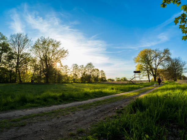istock Park with small pond behind green grass and fresh trees in spring time 1788051484