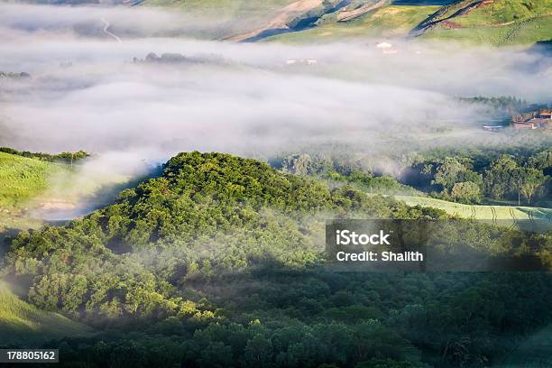 Misty Forest Hill In Tuscany Foto de stock y más banco de imágenes de Agricultura - Agricultura, Aire libre, Amanecer