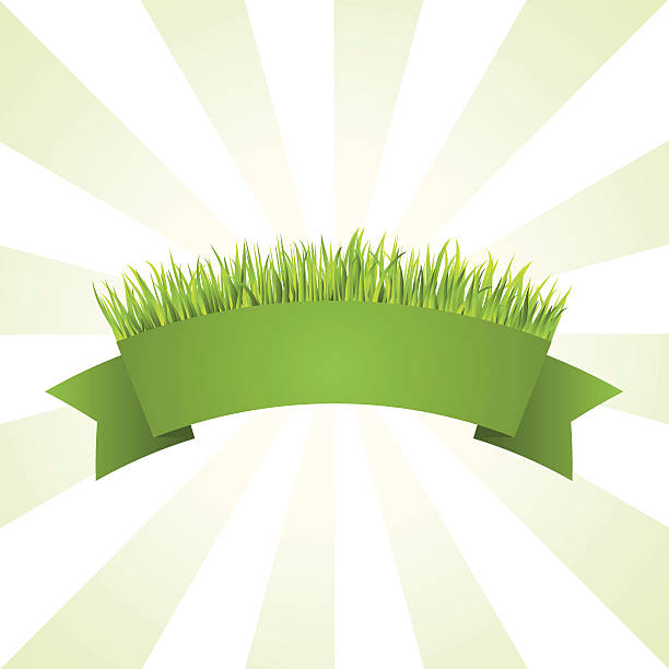 Green grass banner Green grass banner yard sign stock illustrations