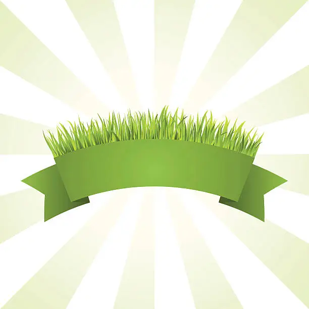 Vector illustration of Green grass banner