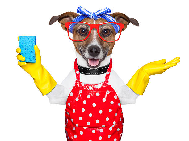 istock housewife dog 178806667