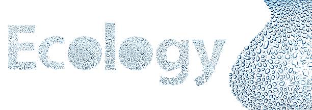 istock Ecology made of water drops, background on white 178806722