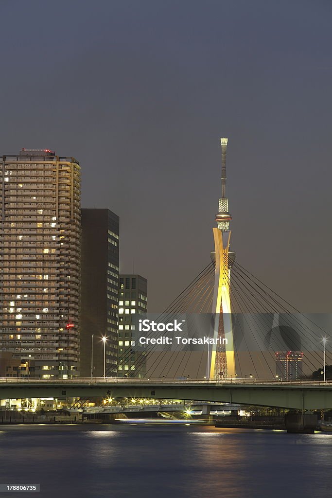 Vista de Tokyo Sky Tree - Foto de stock de Arquitetura royalty-free