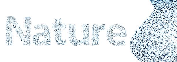 istock Nature made of water drops, background on white 178806876