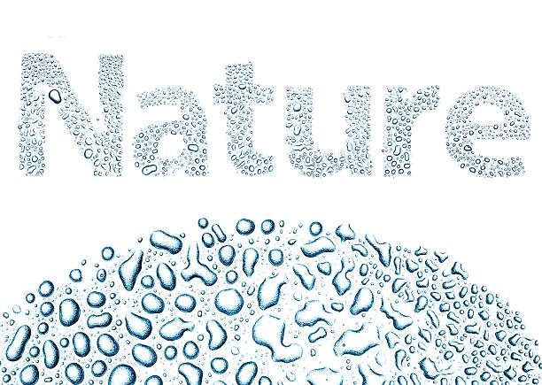 istock Nature made of water drops, background on white 178806884
