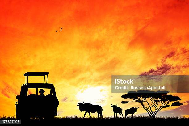 Silhouette Of A Jeep On Safari In Front Of An Orange Sunset Stock Illustration - Download Image Now