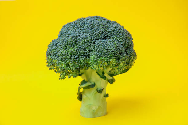istock Fresh raw green broccoli on yellow background 1788079922