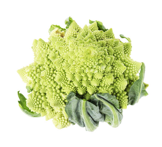 istock Fresh Romanesco broccoli isolated on white, top view 1788081524