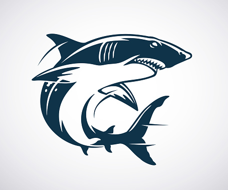 Shark icon or logo template. Swimming aggressive fish isolated on white background. Monochrome black and white tattoo or print design. Vector illustration.
