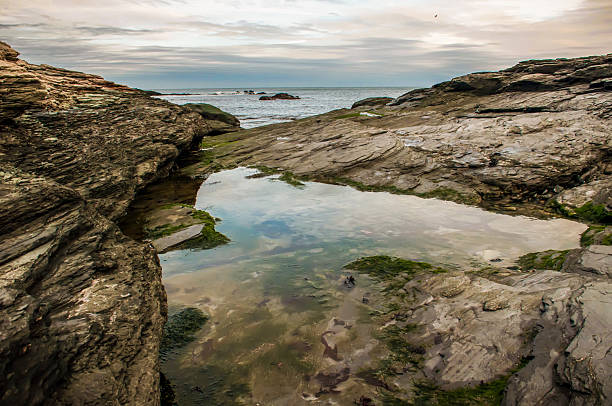 foto de uma manhã cedo aquidneck island, newport, ri - aquidneck island - fotografias e filmes do acervo