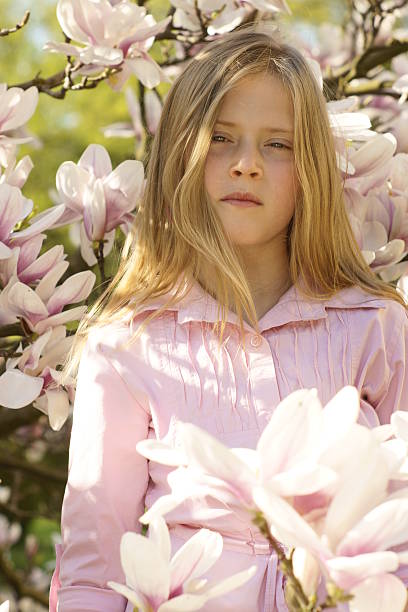 magnolia - magnolia blossom flower head single flower stock-fotos und bilder