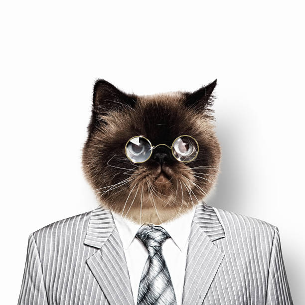 istock Funny fluffy cat in a business suit 178810220