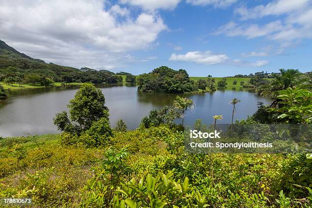 Hoomaluhia Botanical Garden Oahu Hawaii Stock Photo - Download Image Now - Botanical Garden, Hawaii Islands, Tropical Climate