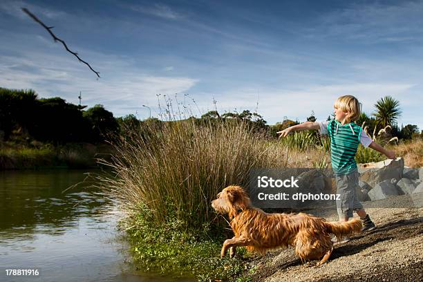 Boy And His Dog Stock Photo - Download Image Now - New Zealand, Child, Dog