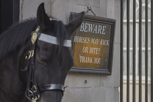 warning sign near a horse of the Horse Guards cavalry regiment in London; London, United Kingdom