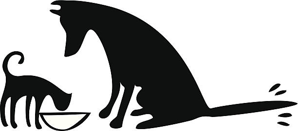 Dog and Cat eating together vector art illustration