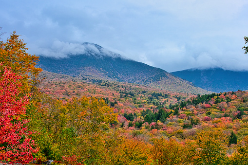 Mountain side with brightly colored trees in autumn.Franconia Notch State Park, New Hampshire.